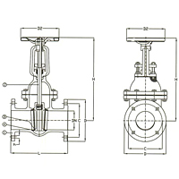 PN 10-16-25 Cast Steel Gate Valve