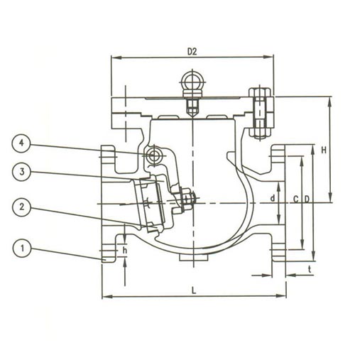 F7372 5K Cast Iron Swing Check Valves
