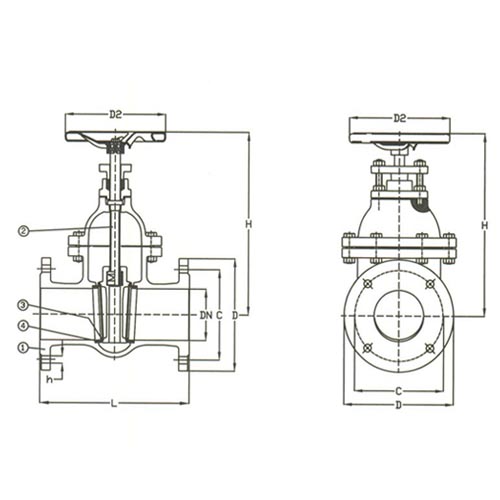 PN 16 Cast Iron Gate NRS Valve