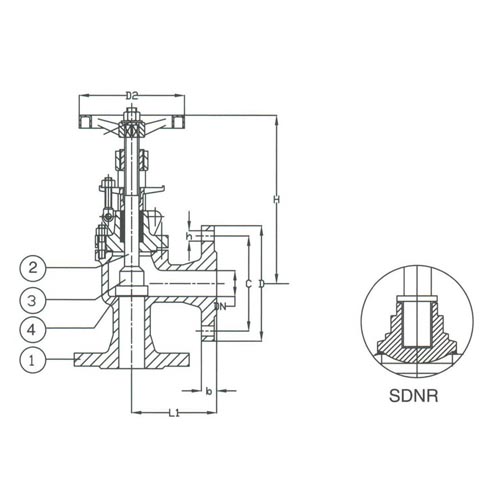 PN 40 Cast Steel Angle SDNR Valve