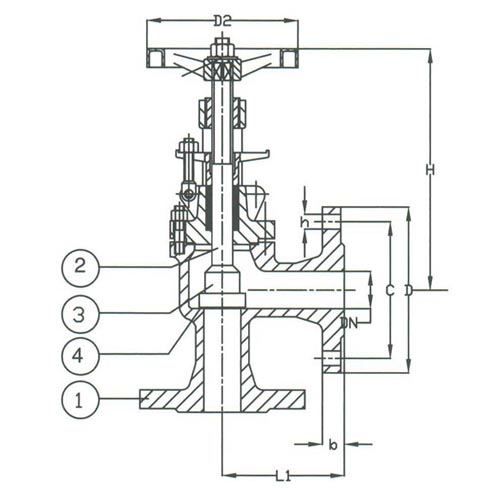 PN 16 Ductile Iron Angle Regular Valve