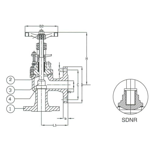 PN 16 Ductile Iron Angle SDNR Valve