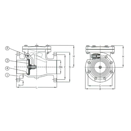 PN 16 Cast Iron Swing Check Valve