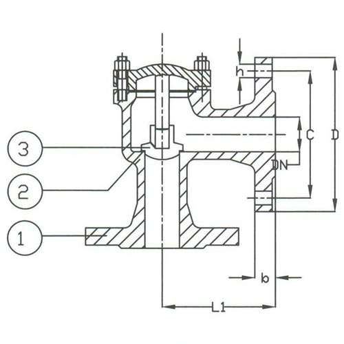 PN 16 Cast Iron Lift Check Angle Pattern Valve