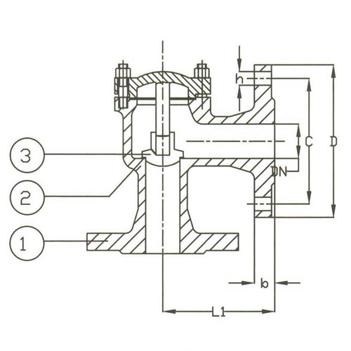 PN 40 Cast Steel Lift Check Angle Pattern Valve