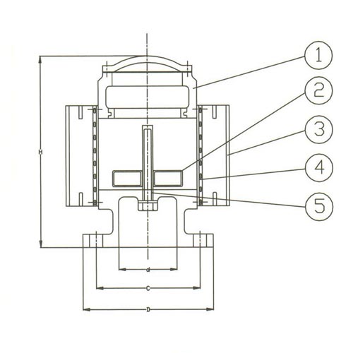 PN 10 Vent Check Cast Iron Valve