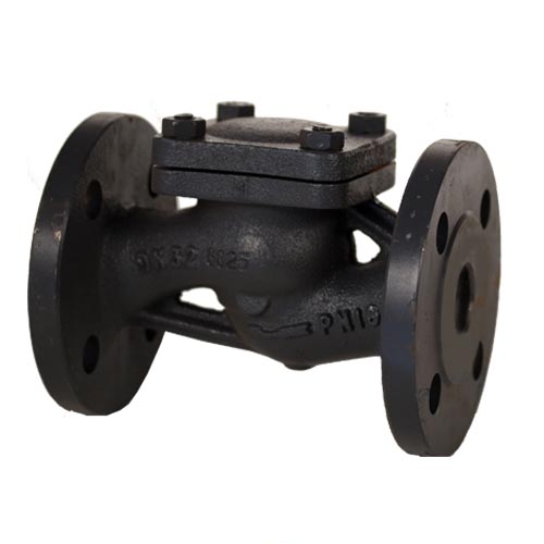 PN 16 Cast Iron Lift Check Globe Pattern Valve
