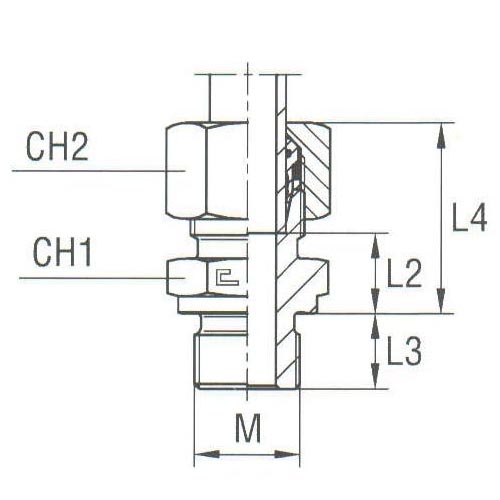 Male Stud Coupling Thread Metric Parallel - Equipped B4 Ring