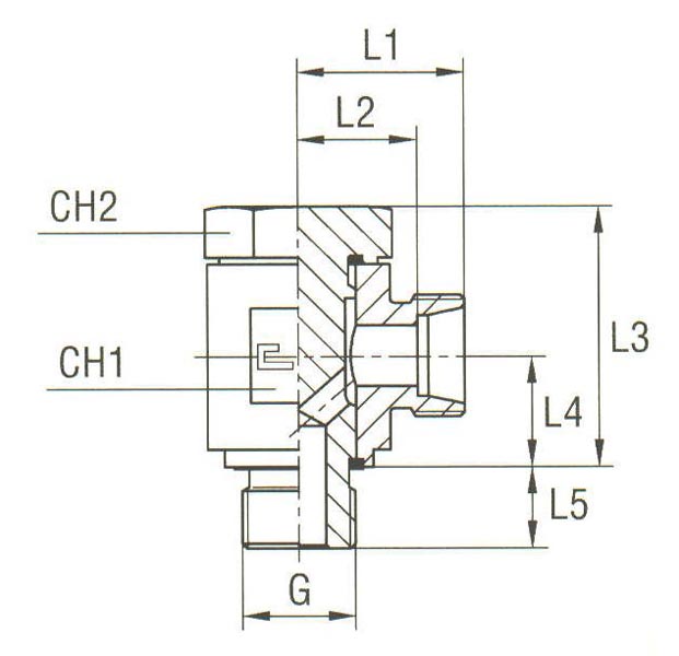 Banjo Coupling with Allow Screw and Elastomer Seal Thread BSP Parallel - Body Only - Image 2
