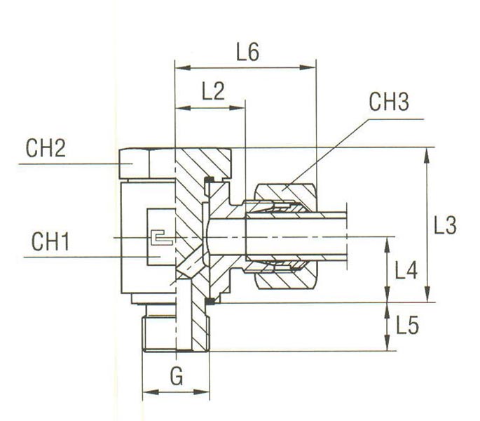Banjo Coupling with Allow Screw and Elastomer Seal Thread BSP Parallel - Equipped B3 Ring - Image 2