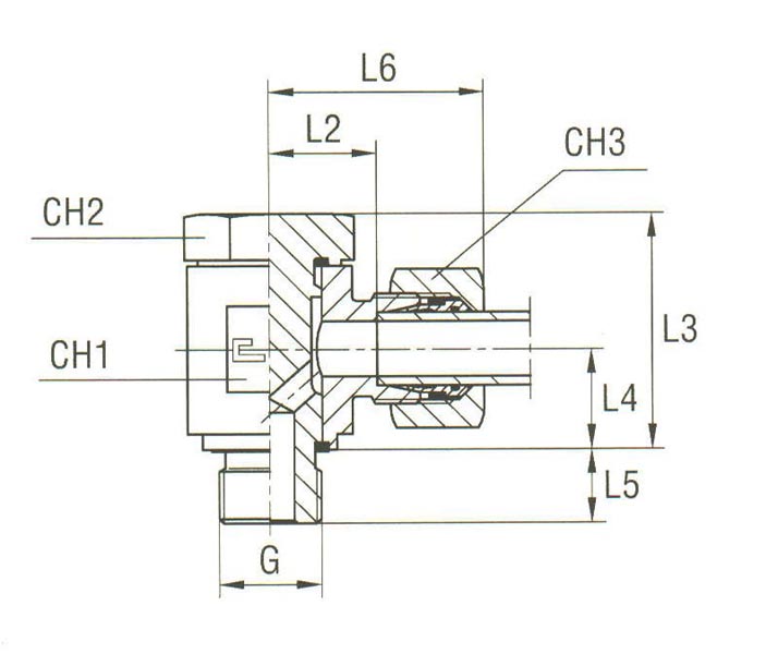 Banjo Coupling with Allow Screw and Elastomer Seal Thread BSP Parallel - Equipped B4 Ring - Image 2