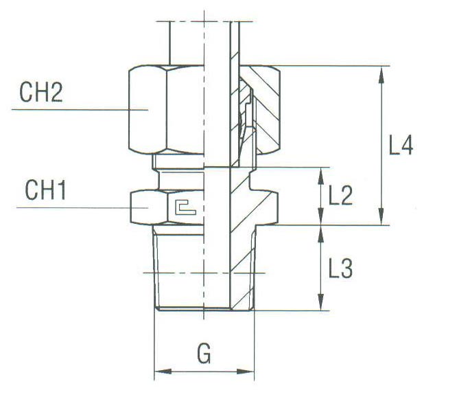 Male Stud Coupling Thread BSP Taper - Equipped B3 Ring - Image 2