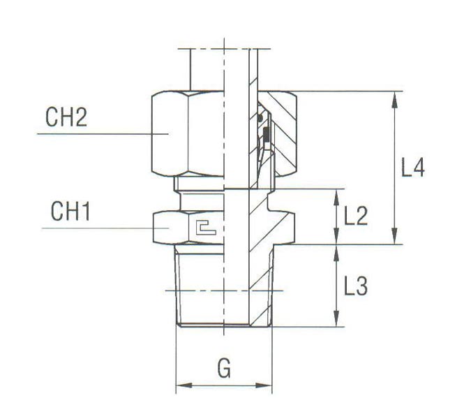 Male Stud Coupling Thread BSP Taper - Equipped B4 Ring - Image 2