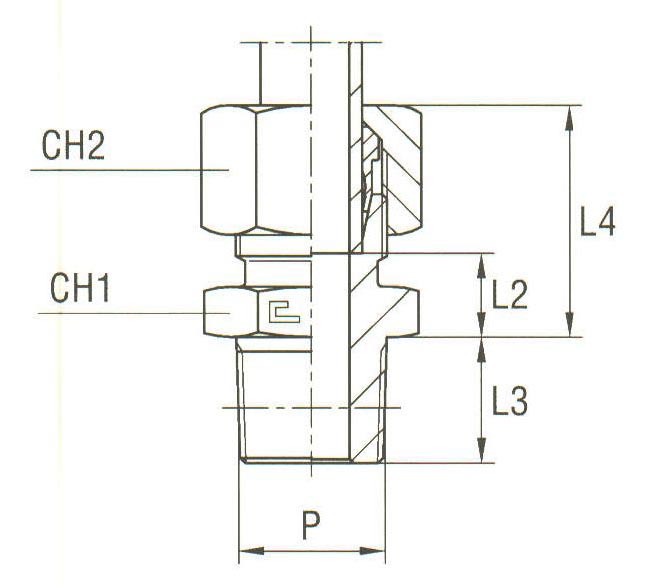 Male Stud Coupling Thread NPT - Equipped B3 Ring - Image 2