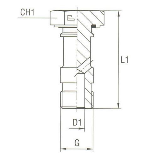 Banjos Bolts Thread BSP Parallel