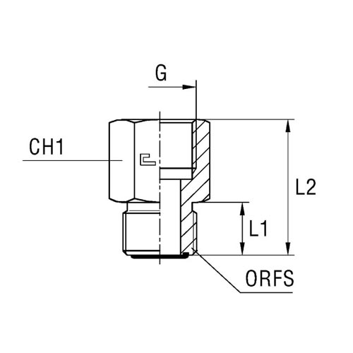 Female Gauge Coupling Thread BSP Parallel